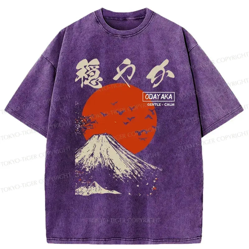 Kyoto-Lion Japan Mount Fuji Retro Washed T-Shirt
