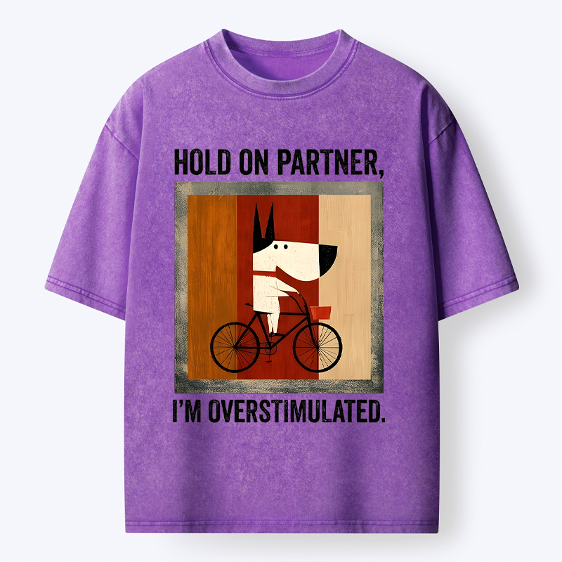 japanese washed t-shirt for streetwear