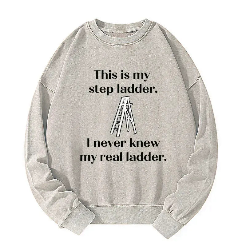 Kyoto-Lion A Real Ladder Funny Washed Sweatshirt
