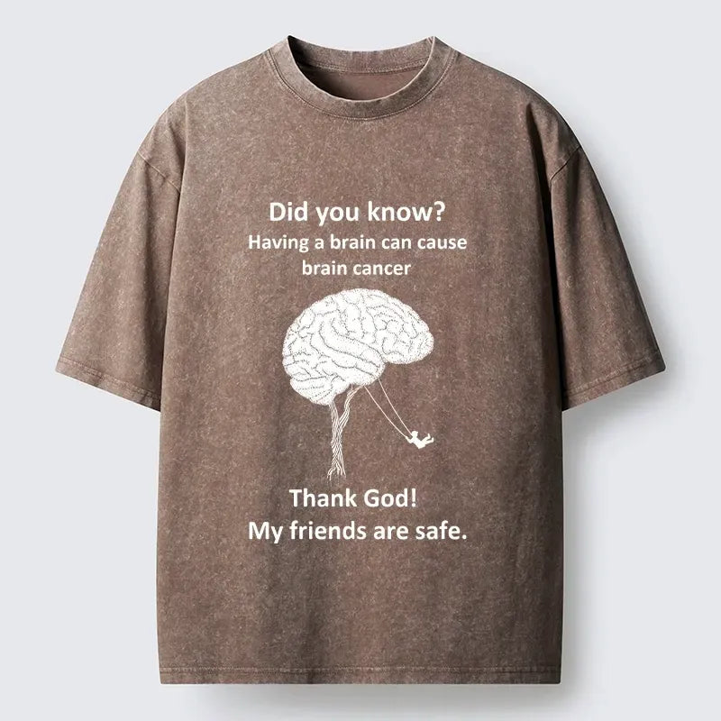 Tokyo?Tiger Dark Meme Brain Joke Washed T?-Shirt
