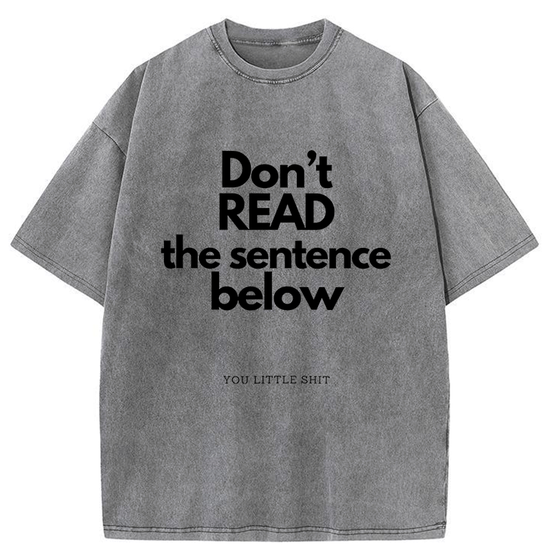 Kyoto-Lion Humorous Word Games Washed T-Shirt