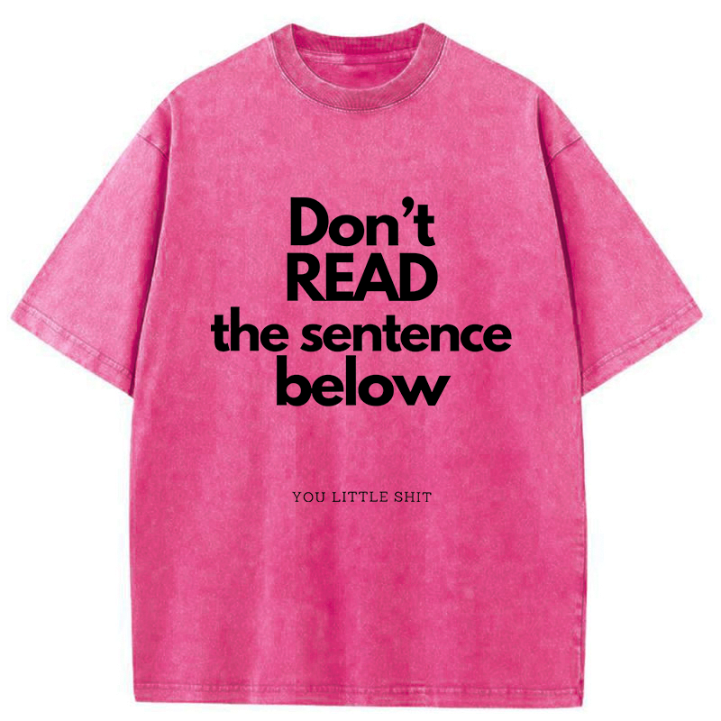 Kyoto-Lion Humorous Word Games Washed T-Shirt