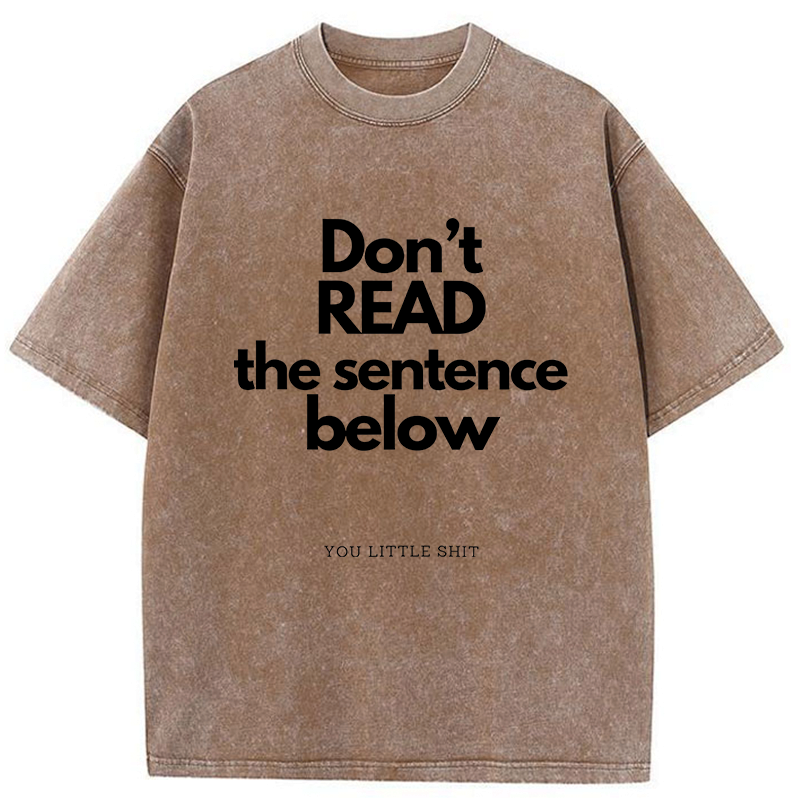 Kyoto-Lion Humorous Word Games Washed T-Shirt