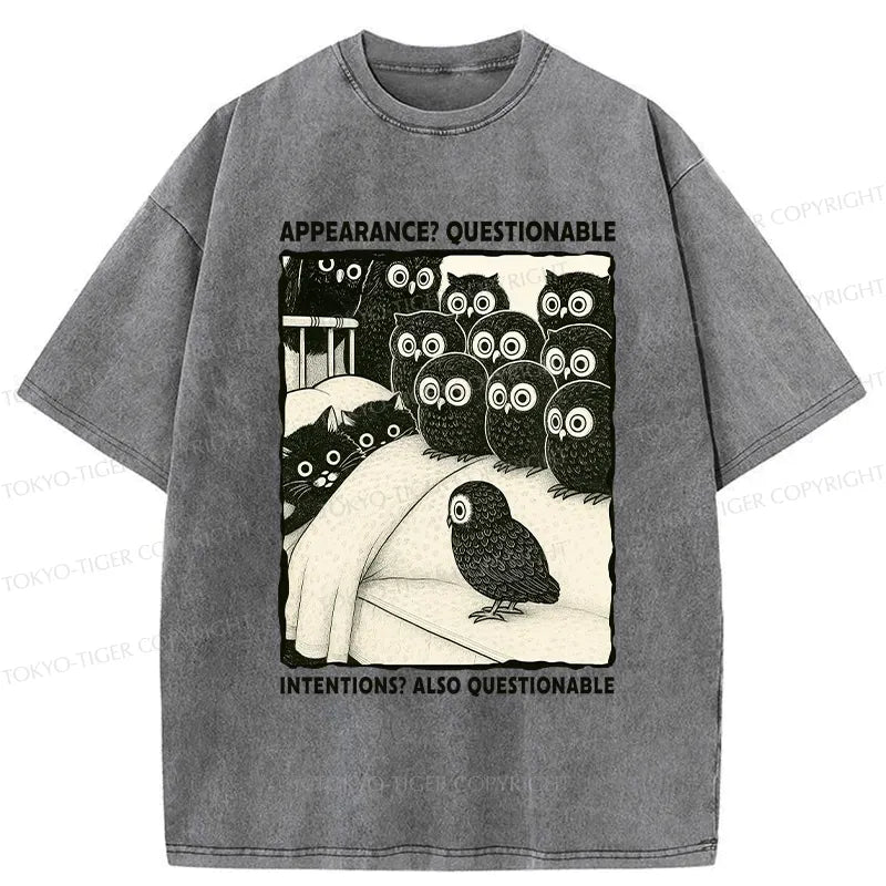 Kyoto-Lion Appearance And Intentions Questionable Washed T-Shirt