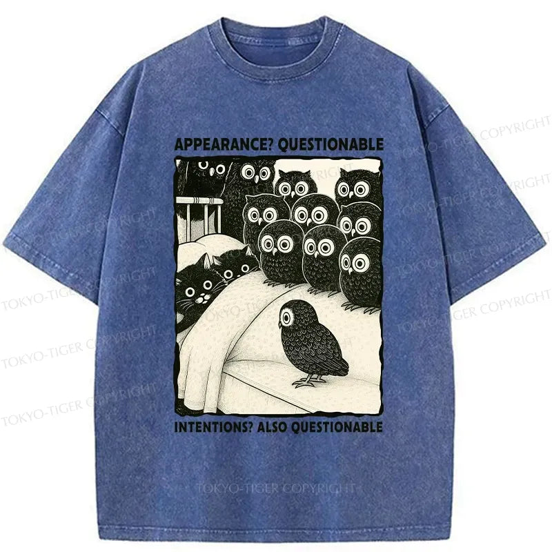 Kyoto-Lion Appearance And Intentions Questionable Washed T-Shirt