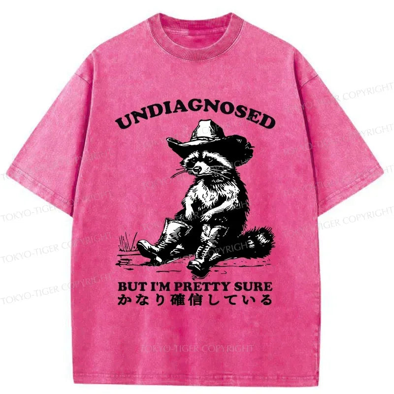 Kyoto-Lion Confirmed Raccoon Washed T-Shirt