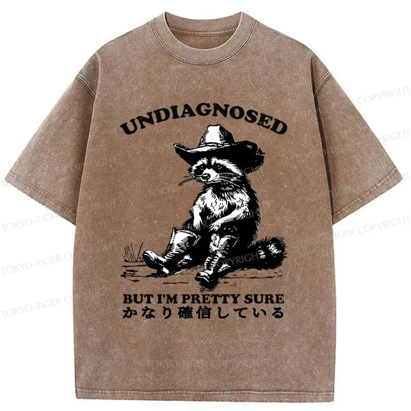 Raccoon Ukiyo-e T-Shirt for Streetwear