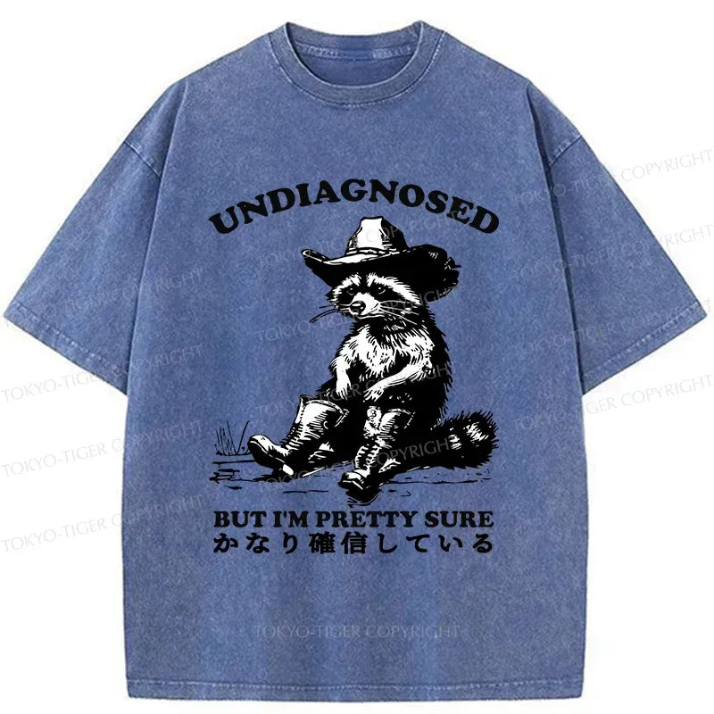 Raccoon Ukiyo-e T-Shirt for Streetwear
