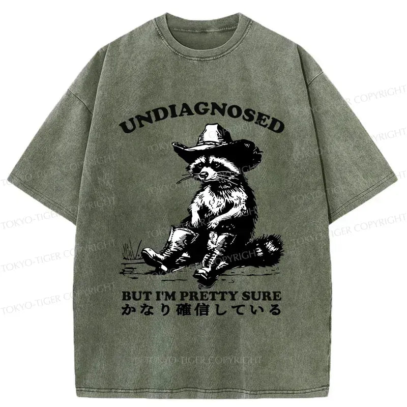 Kyoto-Lion Confirmed Raccoon Washed T-Shirt