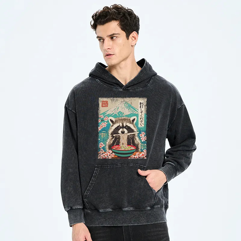 Kyoto-Lion Please Give Raccoon A Discount Washed Hoodie