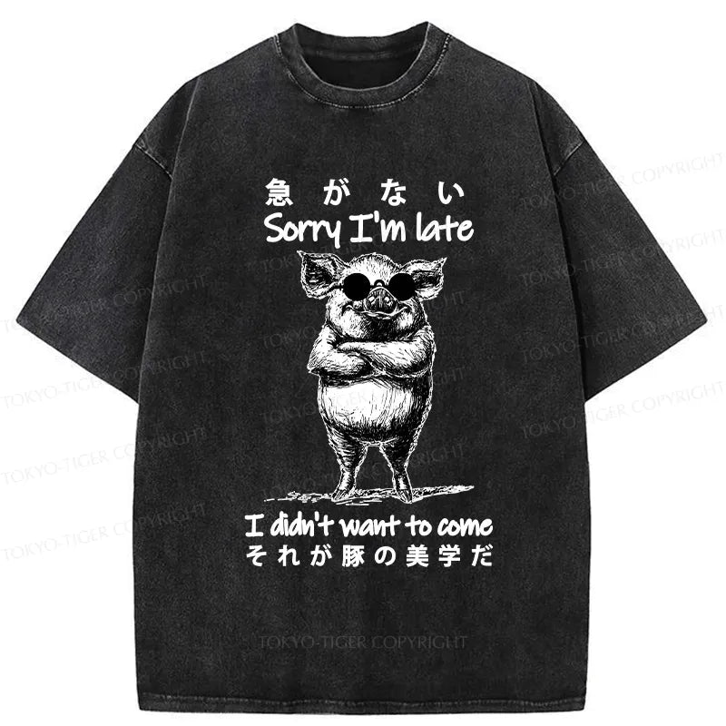 Funny Japanese Washed T-Shirt Free Shipping