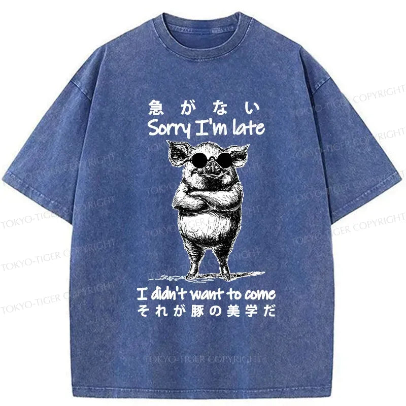 Funny Japanese Washed T-Shirt Free Shipping