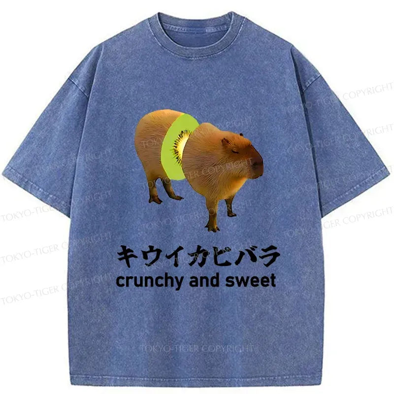 Kiwi Capybara Washed T-Shirt for Summer