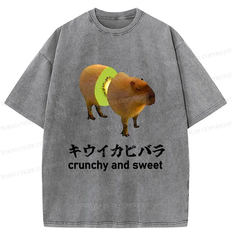 Kiwi Capybara Washed T-Shirt for Summer