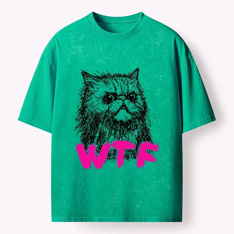 vintage Kyoto lion cat t-shirt