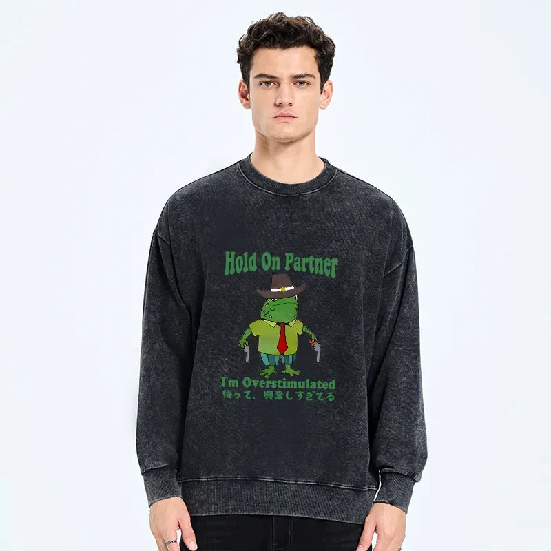 Japanese washed sweatshirt with free shipping