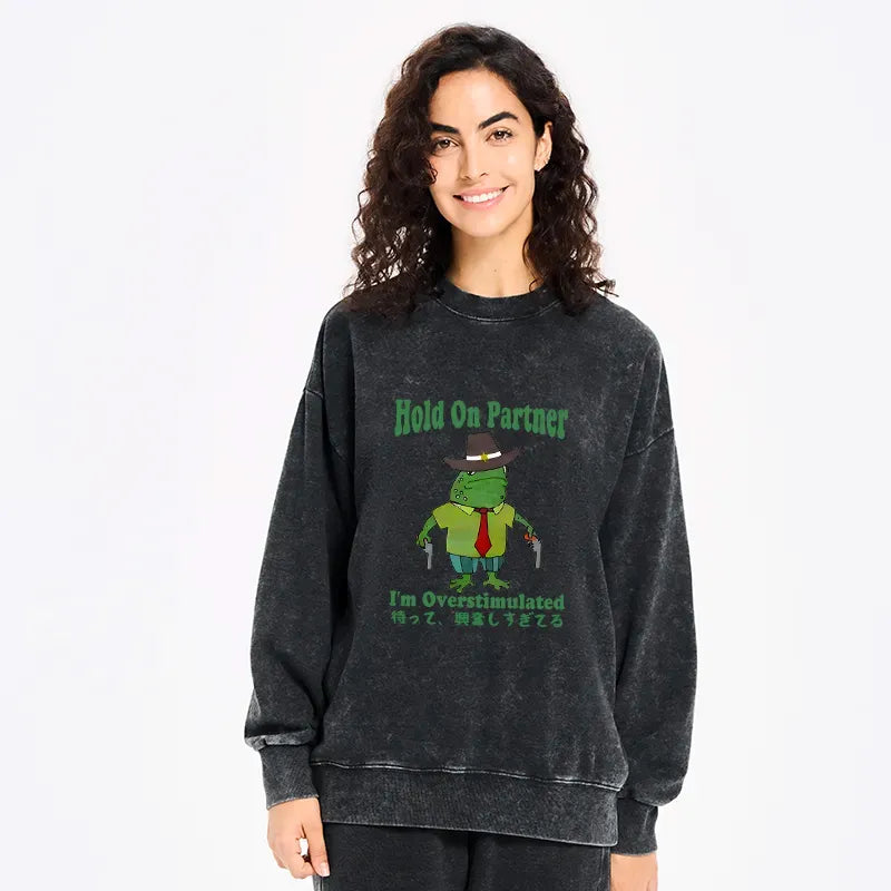 Japanese washed sweatshirt with free shipping