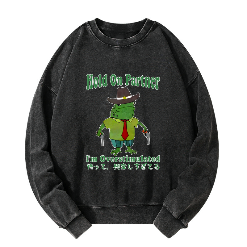 Kyoto Lion unisex sweatshirt for vacation