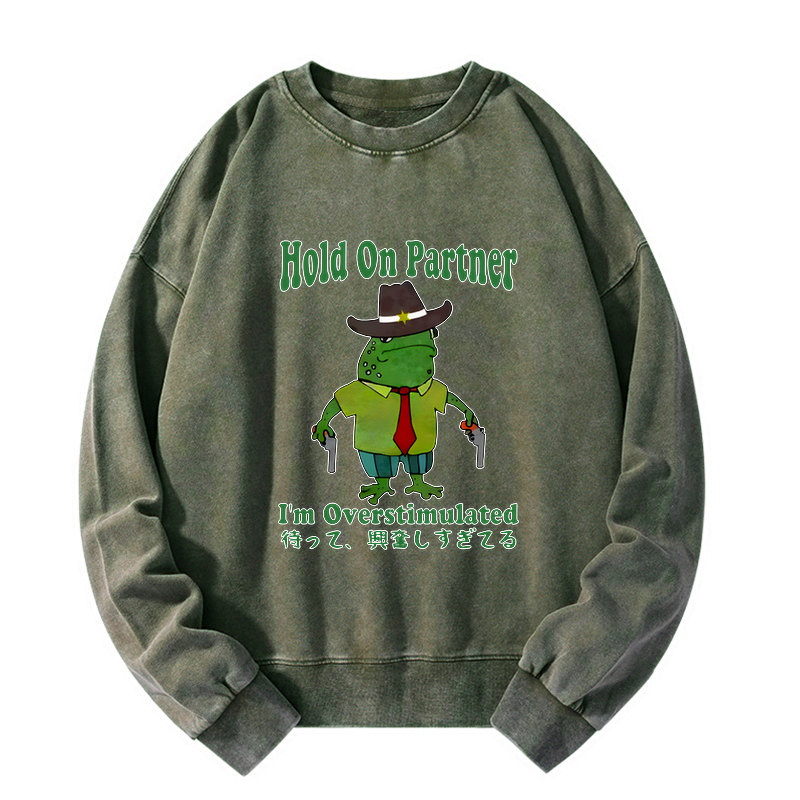 Kyoto Lion washed sweatshirt for daily wear