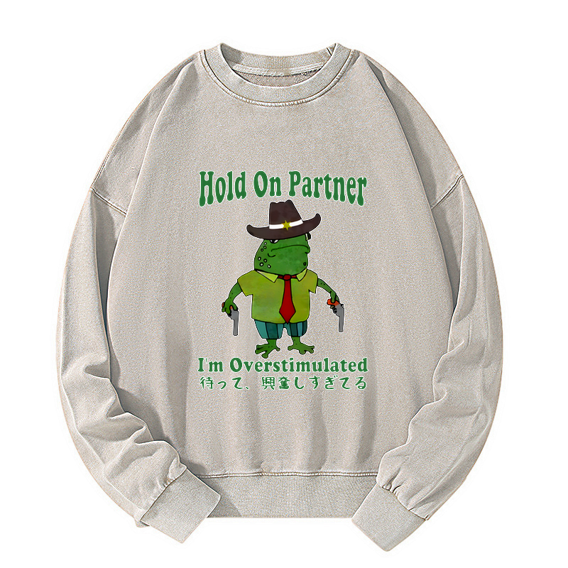 Kyoto Lion washed sweatshirt for daily wear