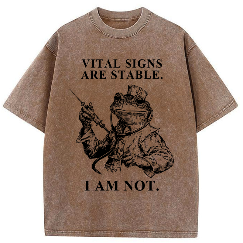 Kyoto-Lion The Stable-But-Not Washed T-Shirt