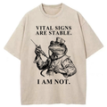 Kyoto Lion Japanese Culture T-Shirt Best Seller