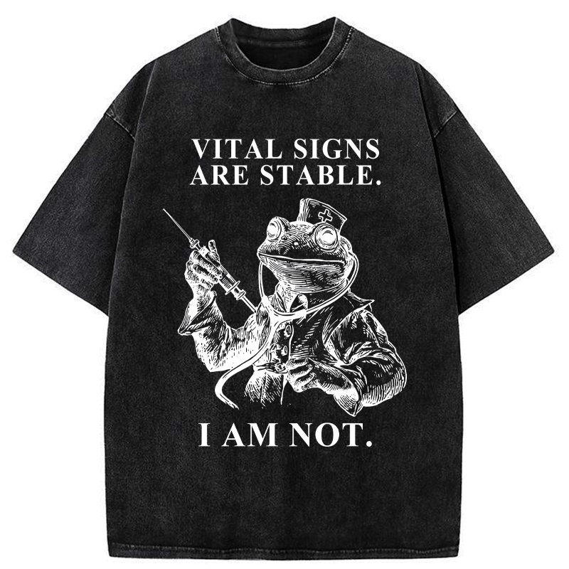 Kyoto Lion Japanese Culture T-Shirt Best Seller