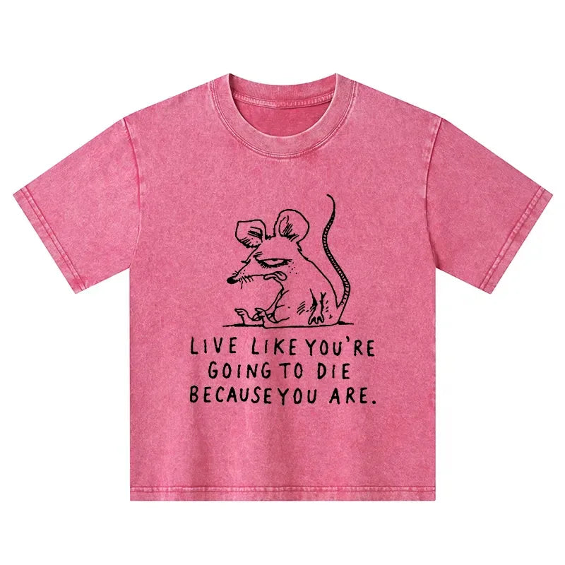 washed kids t-shirt for daily wear