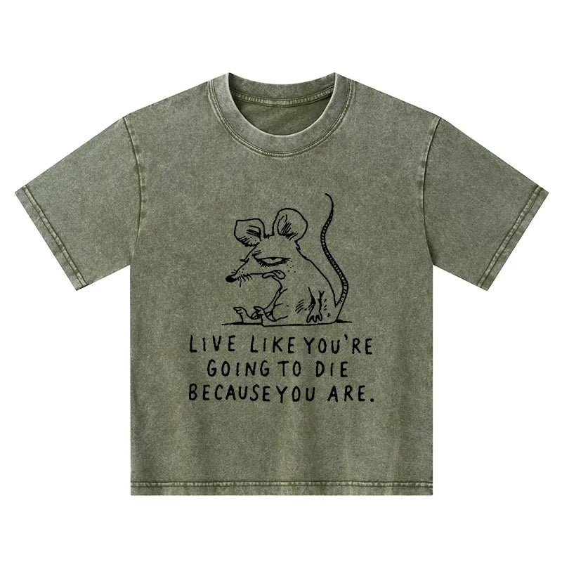 Kyoto-Lion Funny Meme Sarcastic Rat Life Truth Kids Washed T-Shirt