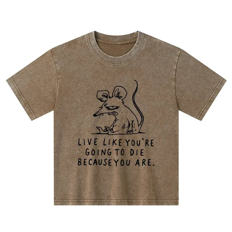 washed kids t-shirt for daily wear