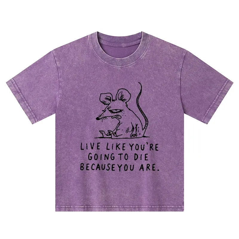 Kyoto-Lion Funny Meme Sarcastic Rat Life Truth Kids Washed T-Shirt