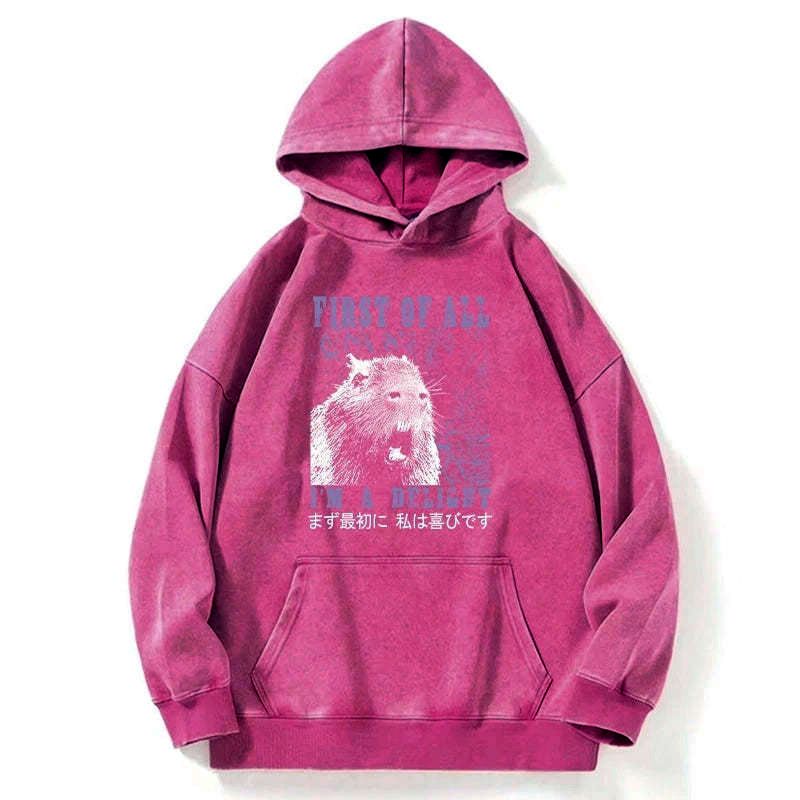 Kyoto-Lion First Of All I'm A Delight Washed Hoodie