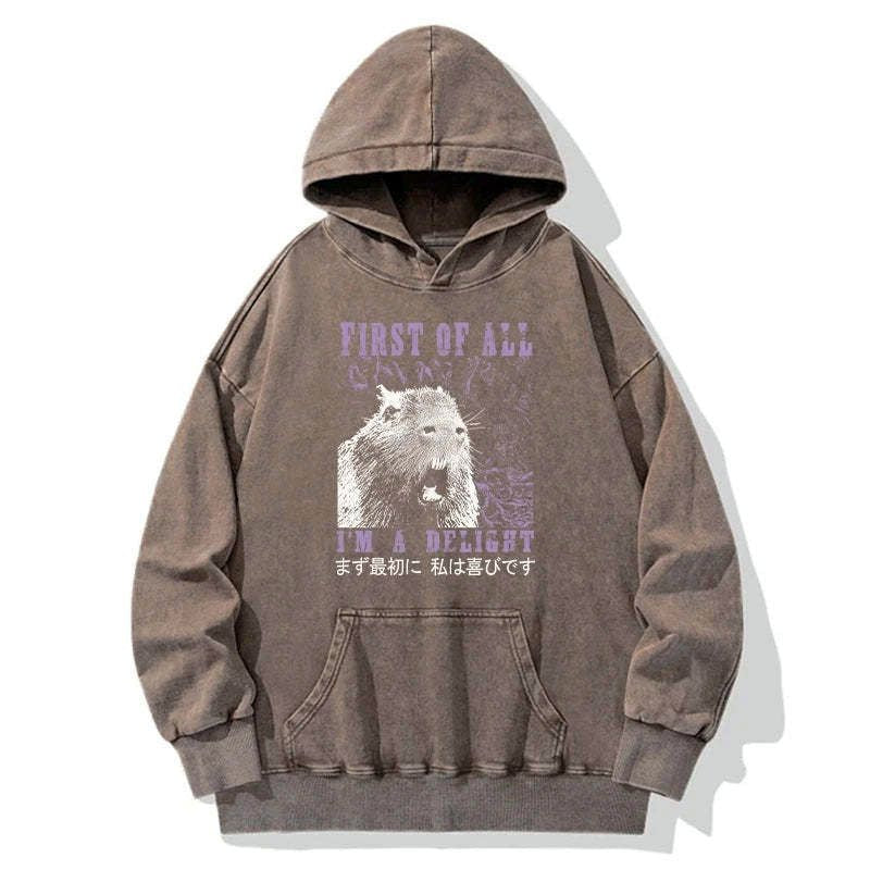 comfortable japanese hoodie free shipping