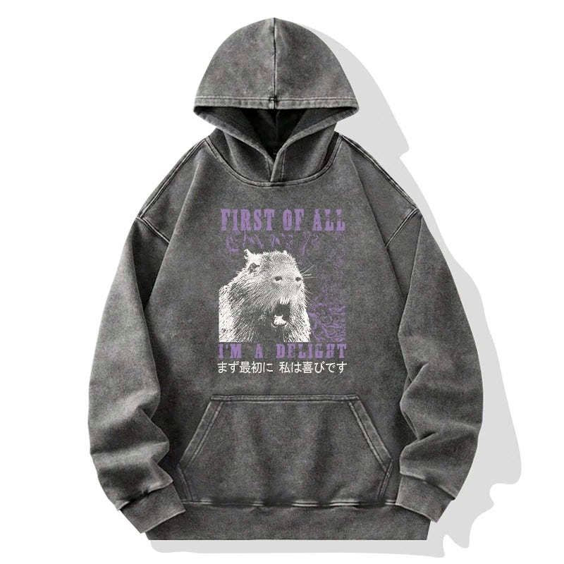 Kyoto-Lion First Of All I'm A Delight Washed Hoodie