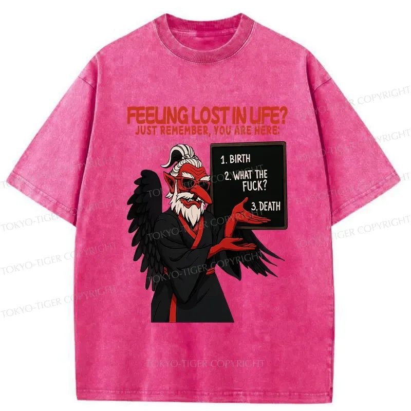 Kyoto-Lion The Three Stages Of Life Funny Washed T-Shirt