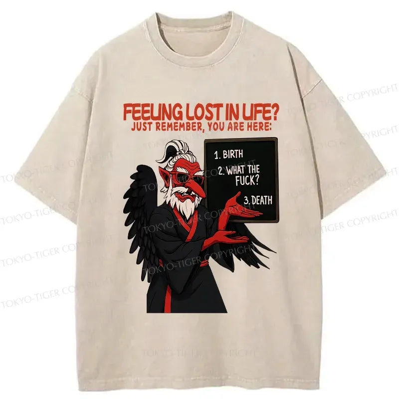 Kyoto-Lion The Three Stages Of Life Funny Washed T-Shirt
