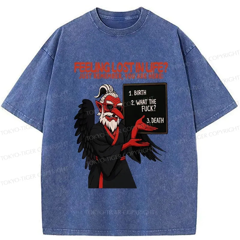 Kyoto-Lion The Three Stages Of Life Funny Washed T-Shirt