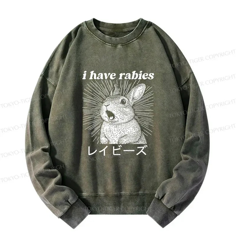 Kyoto Lion Sweatshirt for Japanese Culture