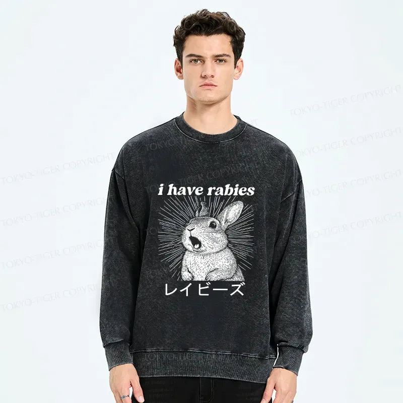 Kyoto-Lion Funny Rabbit Washed Sweatshirt