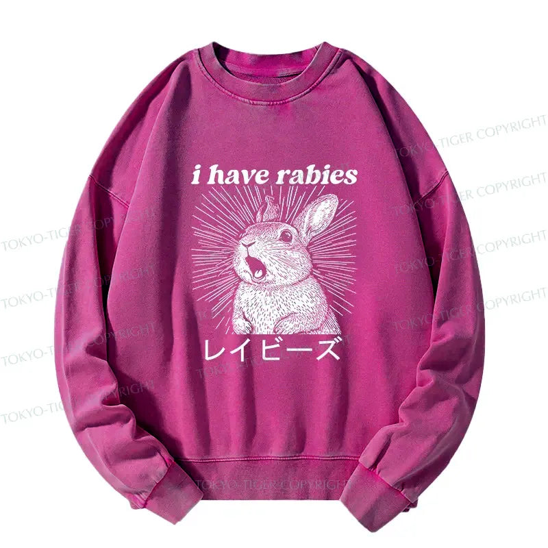Kyoto Lion Sweatshirt for Japanese Culture