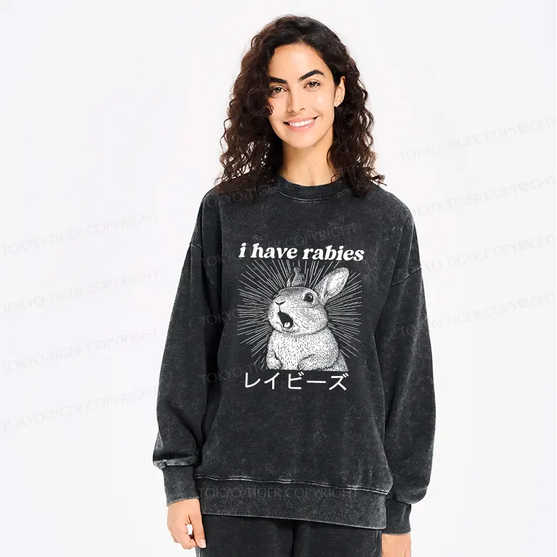 Kyoto Lion Sweatshirt for Japanese Culture