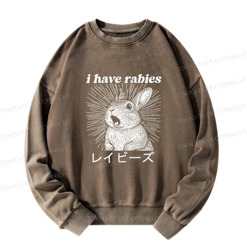 Kyoto Lion Sweatshirt for Japanese Culture