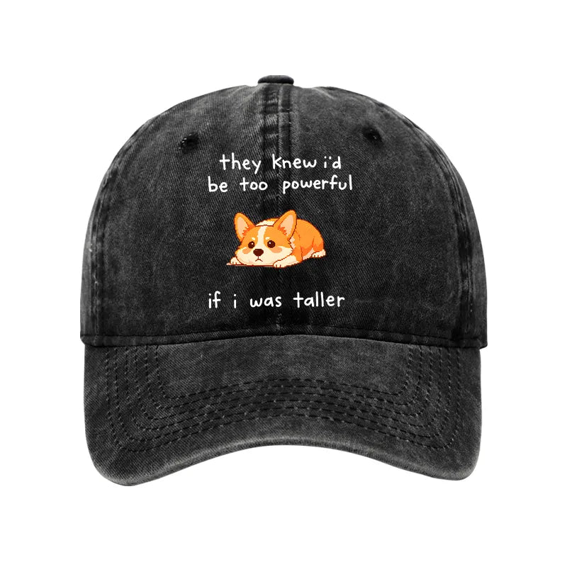 Kyoto-Lion Funny Short Dog Joke Washed Cap