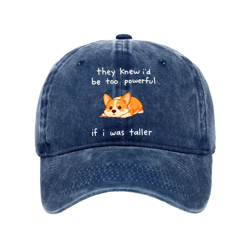 Kyoto-Lion Funny Short Dog Joke Washed Cap