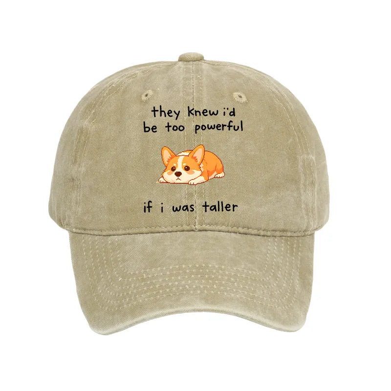 Kyoto-Lion Funny Short Dog Joke Washed Cap