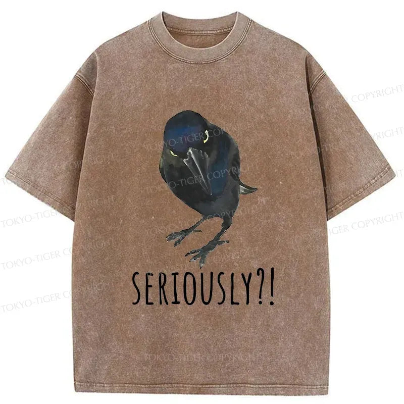 Kyoto-Lion Raven's Question Washed T-Shirt
