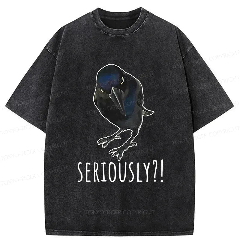 Raven's Question Japanese Washed T-Shirt