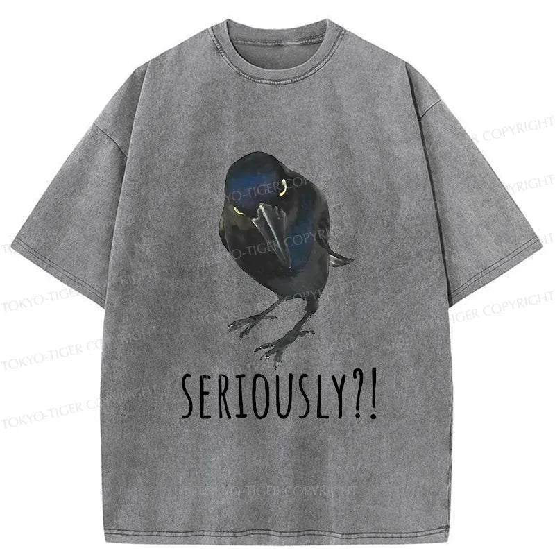 Kyoto-Lion Raven's Question Washed T-Shirt