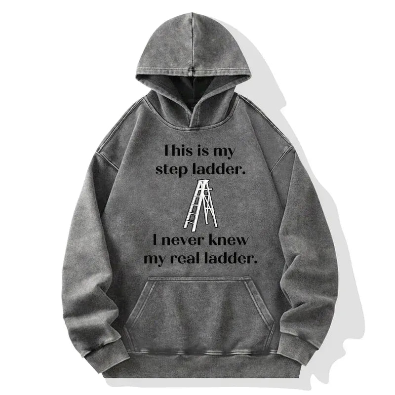 Kyoto-Lion A Real Ladder Funny Washed Hoodie