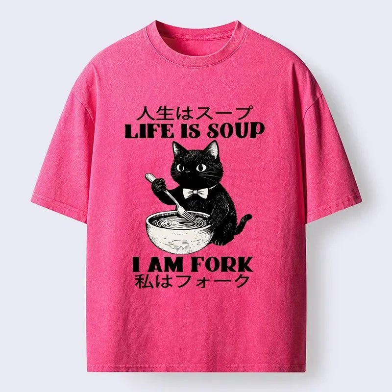 Kyoto Lion Cat Meme Washed T-Shirt
